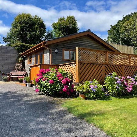 Swansea Log Cabin Pontardawe Екстериор снимка