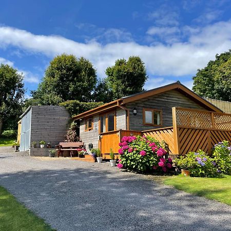 Swansea Log Cabin Pontardawe Екстериор снимка