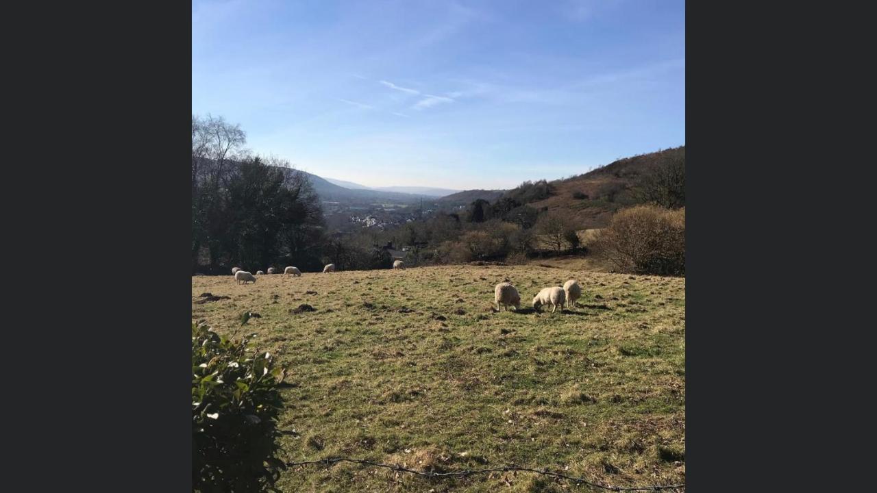 Swansea Log Cabin Pontardawe Екстериор снимка