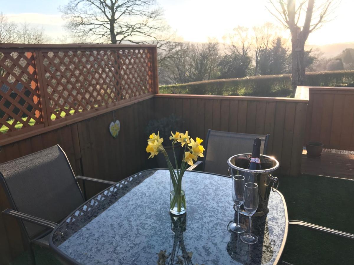 Swansea Log Cabin Pontardawe Екстериор снимка