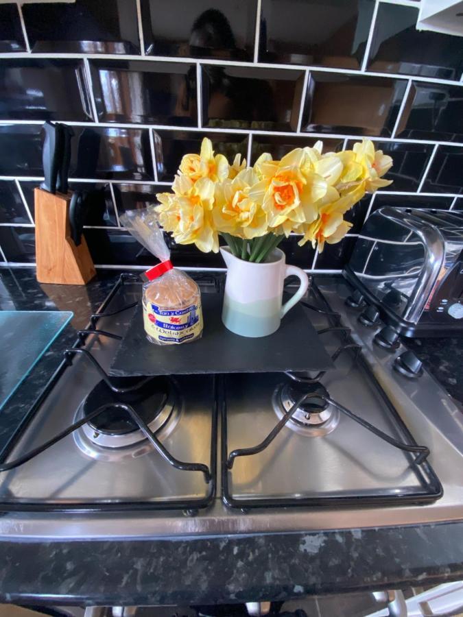 Swansea Log Cabin Pontardawe Екстериор снимка