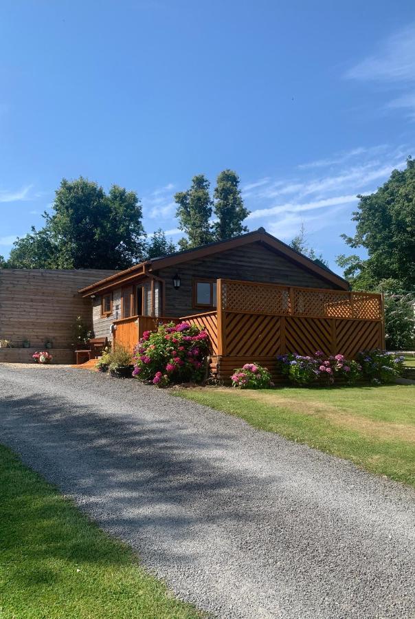 Swansea Log Cabin Pontardawe Екстериор снимка