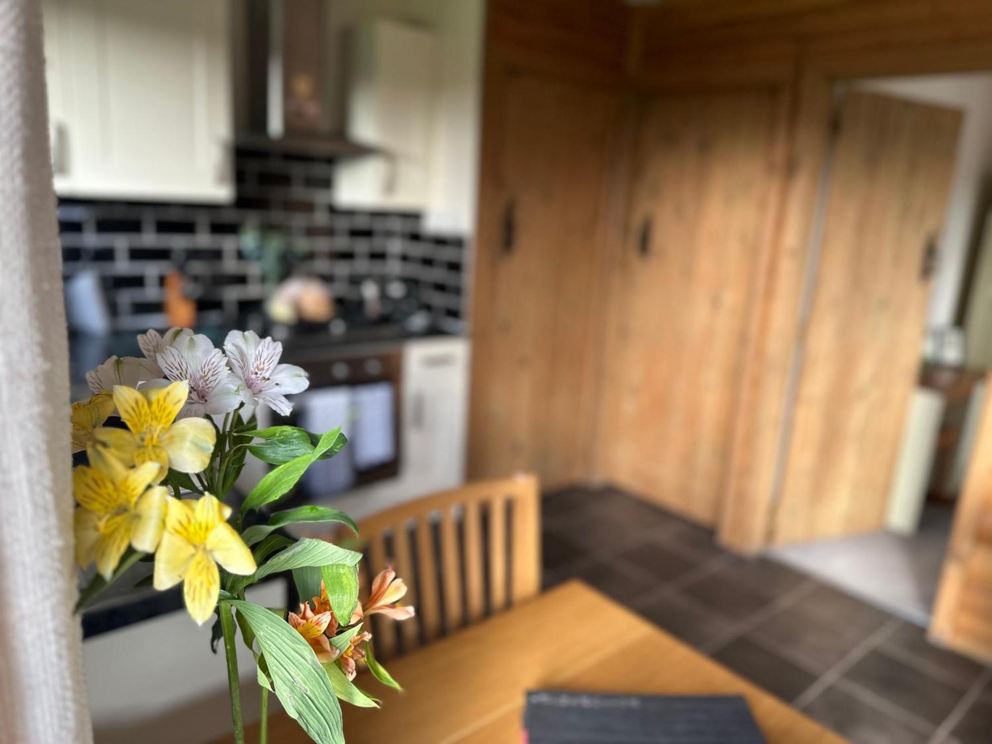 Swansea Log Cabin Pontardawe Екстериор снимка