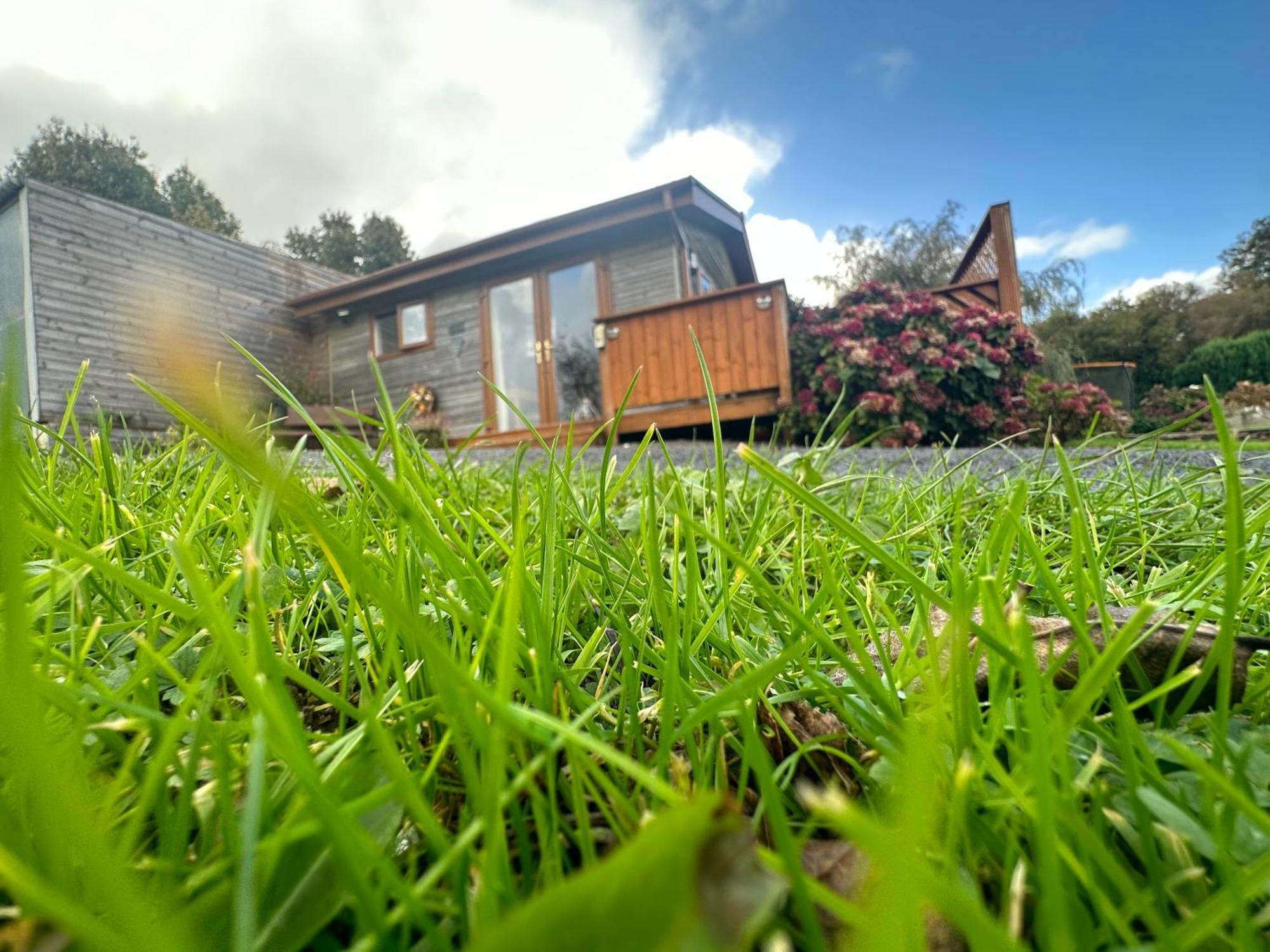 Swansea Log Cabin Pontardawe Екстериор снимка