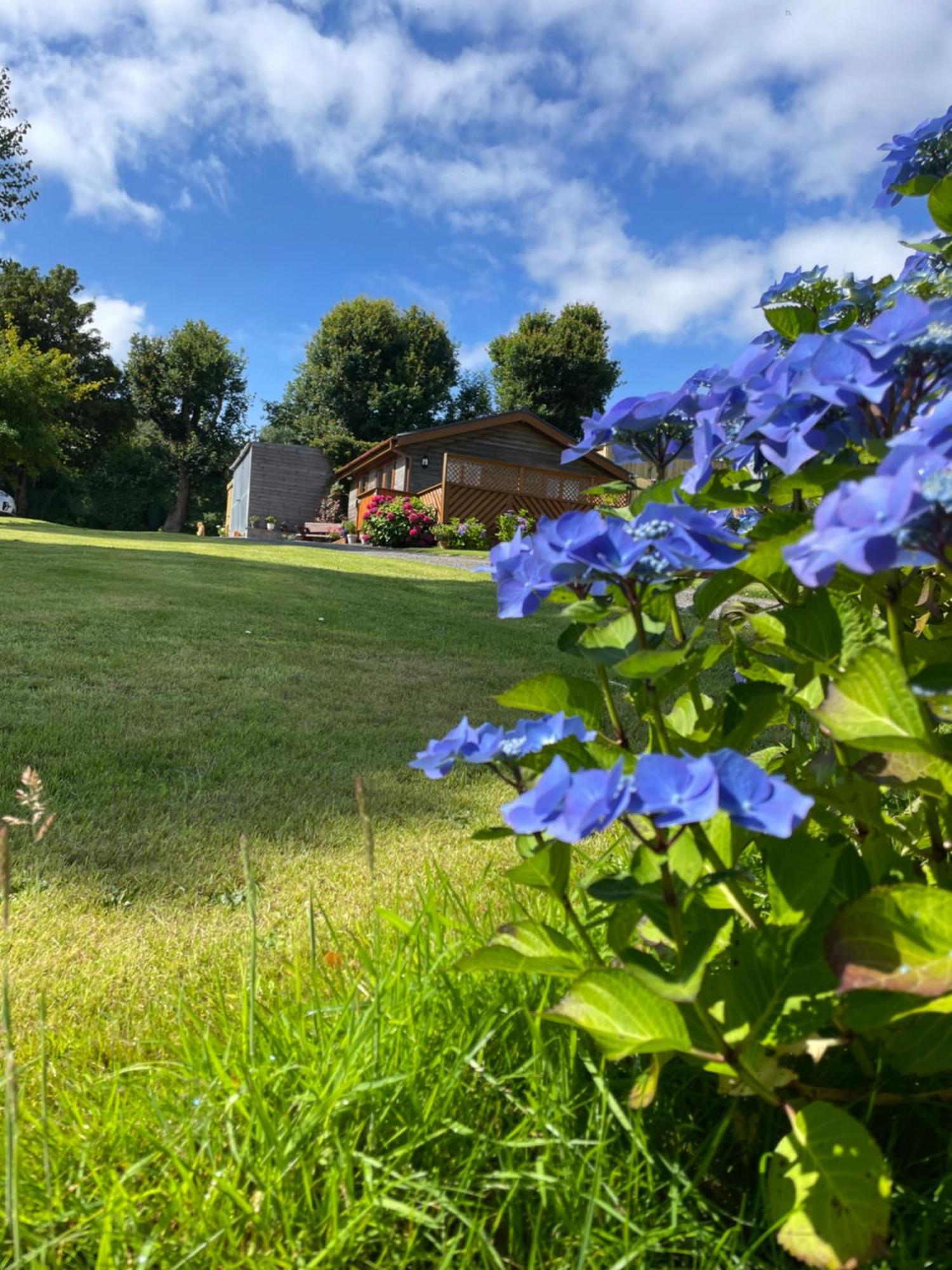 Swansea Log Cabin Pontardawe Екстериор снимка