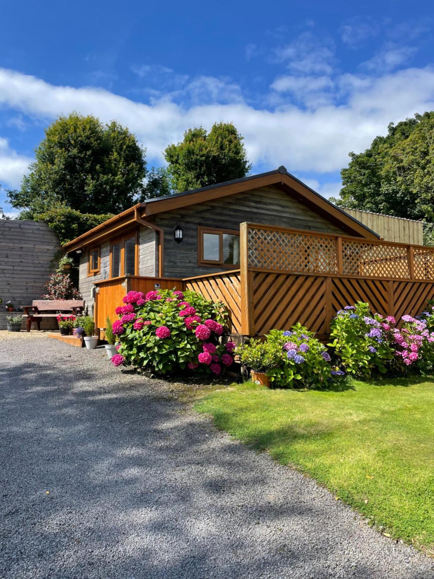 Swansea Log Cabin Pontardawe Екстериор снимка