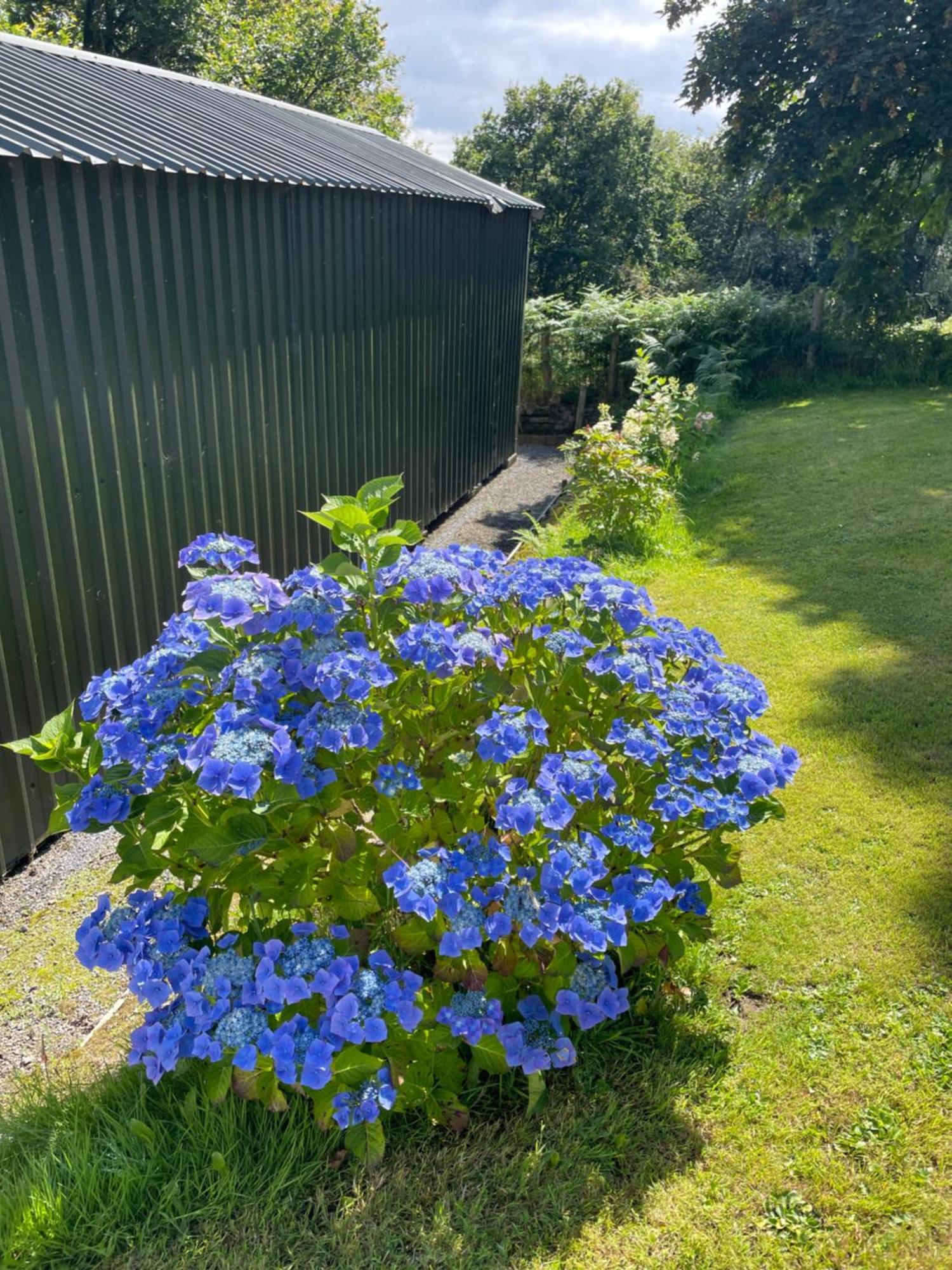 Swansea Log Cabin Pontardawe Екстериор снимка