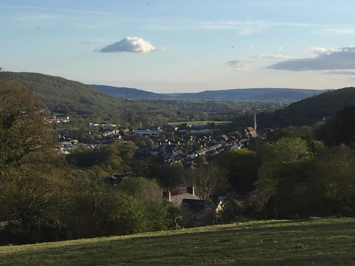 Swansea Log Cabin Pontardawe Екстериор снимка