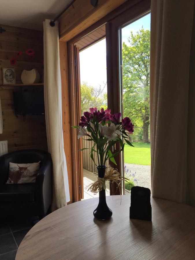 Swansea Log Cabin Pontardawe Екстериор снимка