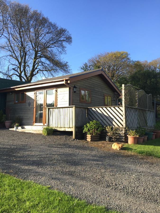 Swansea Log Cabin Pontardawe Екстериор снимка