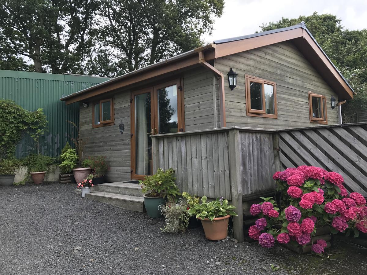 Swansea Log Cabin Pontardawe Екстериор снимка