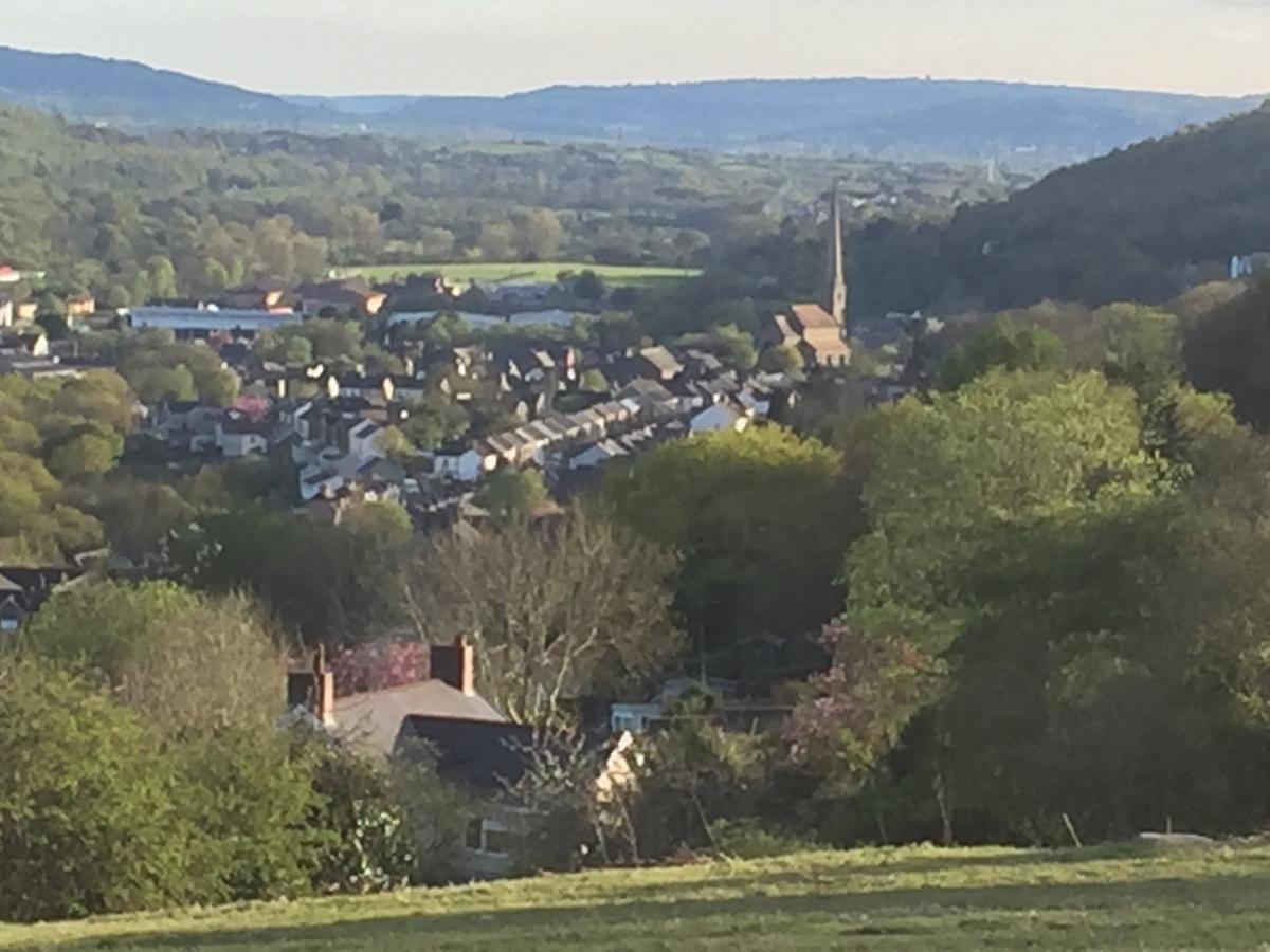 Swansea Log Cabin Pontardawe Екстериор снимка