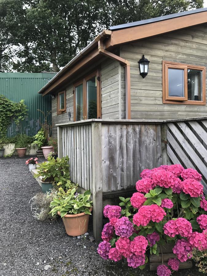 Swansea Log Cabin Pontardawe Екстериор снимка