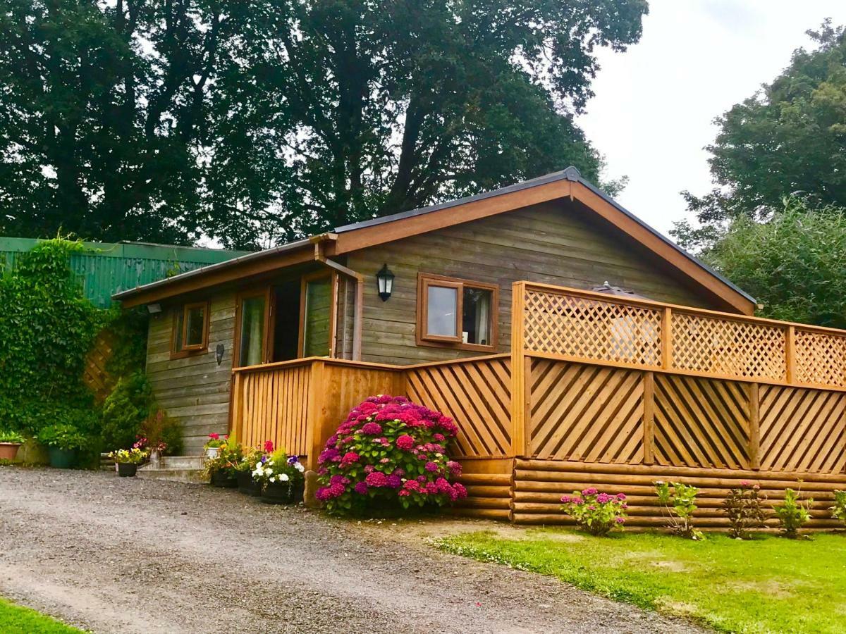 Swansea Log Cabin Pontardawe Екстериор снимка